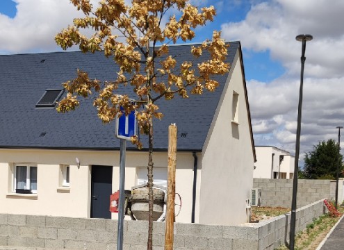 Créations de lotissements