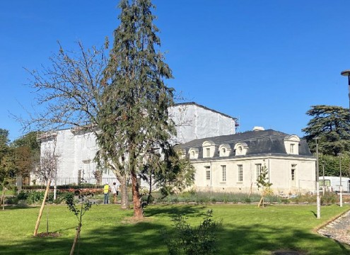 Réhabilitation du château